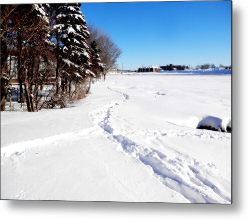 Snow Metal Print featuring the photograph Fresh Print On Kent's Pond by Zinvolle Art