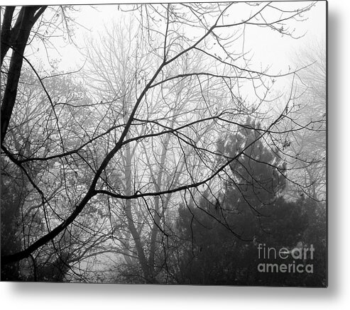 Fog Metal Print featuring the photograph From Hence We Come by Robyn King