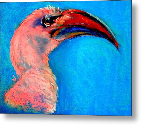 Art Metal Print featuring the painting Funky Red-billed Hornbill Art Print by Sue Jacobi