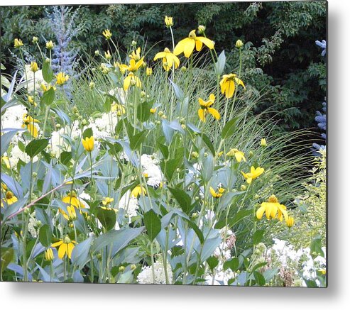 Flowers Metal Print featuring the photograph Garden Bouquet in Blue and Yellow by Margie Avellino