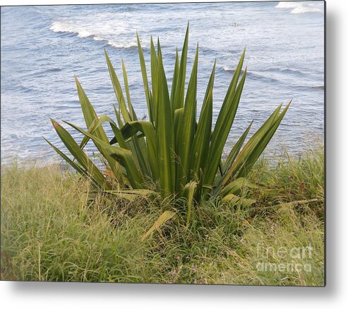 Floral Metal Print featuring the photograph Gentle Surf of Maui by Fred Wilson