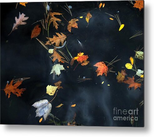 Waterscape Metal Print featuring the photograph Ghost Water by Marcia Lee Jones