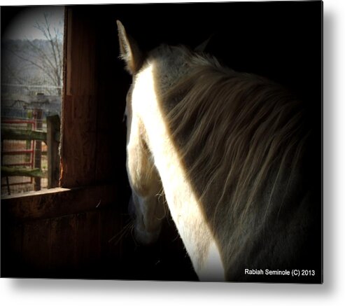 Horse Metal Print featuring the photograph Gitchie by Rabiah Seminole