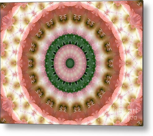 Kaleidoscope Metal Print featuring the photograph Gladiolus Pink and Green Abstract Mandala by MM Anderson