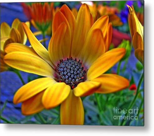 Enhanced Metal Print featuring the photograph Glowing by Chris Anderson