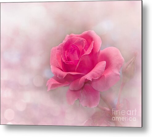 Beautiful Metal Print featuring the photograph Glowing In Pink by Sari ONeal