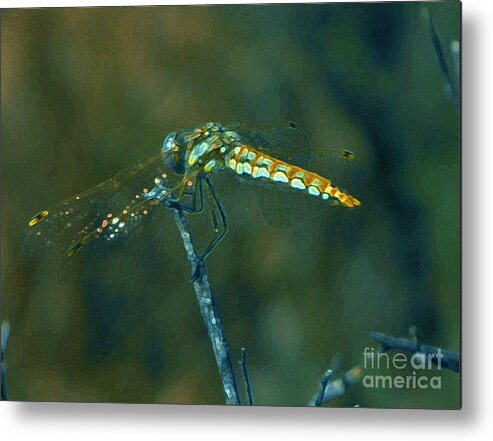  Golden Dragon Fly Perches On Sage Brush Stick Metal Print featuring the digital art Golden Dragon Fly by Annie Gibbons