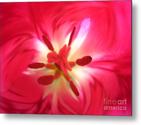 Pink Metal Print featuring the photograph God's Floral Canvas 1 by Jennifer E Doll