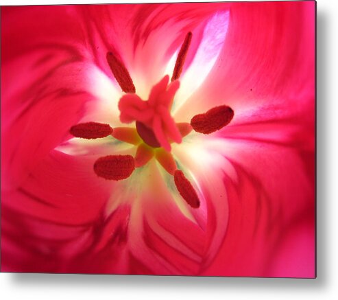 Pink Metal Print featuring the photograph God's Floral Canvas 2 by Jennifer E Doll