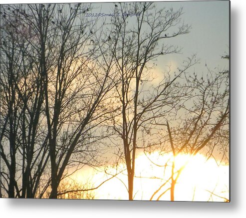 Sunset Metal Print featuring the photograph Golden Fringe by Sonali Gangane