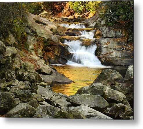 Cashiers Metal Print featuring the photograph Golden Pond by Penny Lisowski