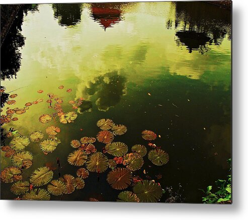 Pond Metal Print featuring the photograph Golden Pond by Yen