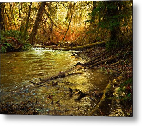 Glow. Metal Print featuring the photograph Golden Stream by Mary Jo Allen