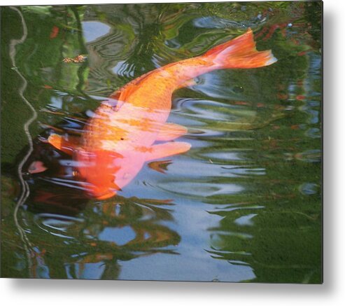 Golfish Metal Print featuring the photograph Goldfish by Cornelia DeDona