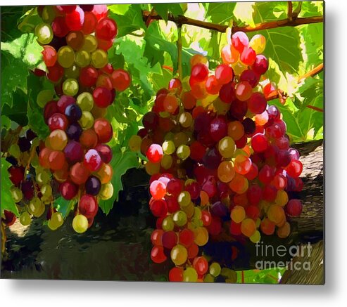 Grapes Metal Print featuring the painting Grapes on the Vine by Tim Gilliland