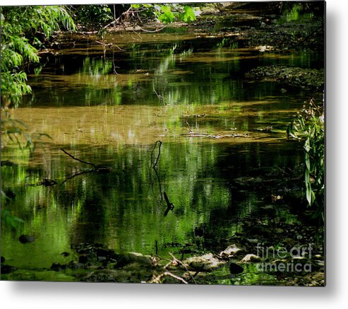 Creek Metal Print featuring the photograph Green veil by Fred Sheridan