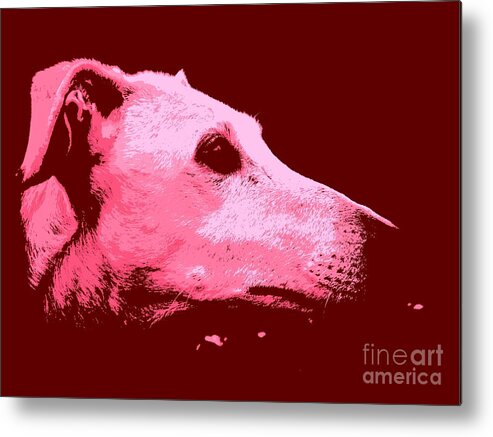 Dog Metal Print featuring the photograph Greyhound profile by Clare Bevan
