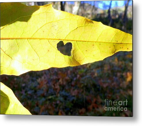 Autumn Metal Print featuring the photograph Heart Leaf by Mars Besso