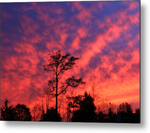 Heaven's On Fire Metal Print featuring the photograph Heaven's On Fire by Dark Whimsy