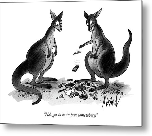 

 One Kangaroo Says To Another Metal Print featuring the drawing He's Got To Be In Here Somewhere! by Kenneth Mahood