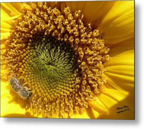 Flower Photograph Metal Print featuring the photograph Hopeful - signed by Michele Penn