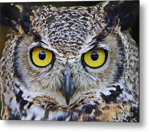 Macro Metal Print featuring the photograph I'm watching you by Heather King