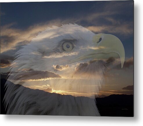 Animals Metal Print featuring the photograph Imagine by Ernest Echols