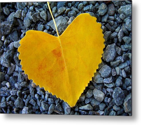 Love Metal Print featuring the photograph In Love ... by Juergen Weiss