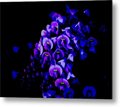 Flowers Metal Print featuring the photograph In the Shadows by Derek Dean