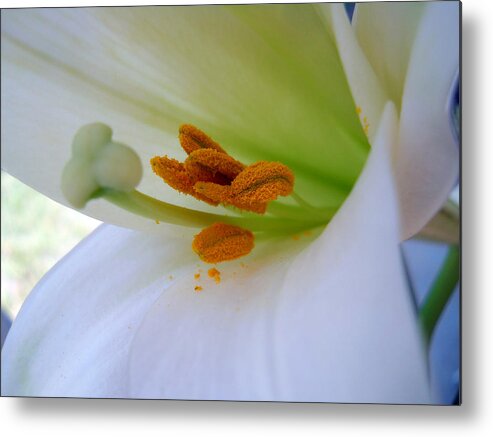 Flower Metal Print featuring the photograph Inner Secrets by Judy Hall-Folde