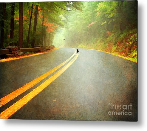 Alley Metal Print featuring the photograph Into The Fog by Darren Fisher