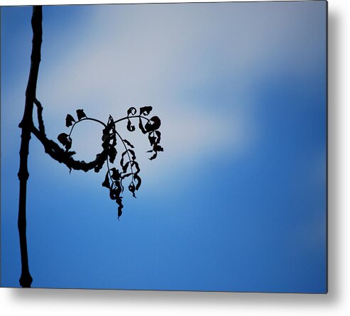 Becky Furgason Metal Print featuring the photograph #iofferyoumylove by Becky Furgason