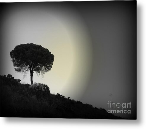 Tree Metal Print featuring the photograph Isolation tree by Clare Bevan