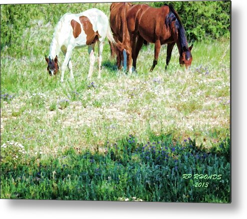 Horse Metal Print featuring the digital art Jack Smokey and Camelot Painted by Robert Rhoads