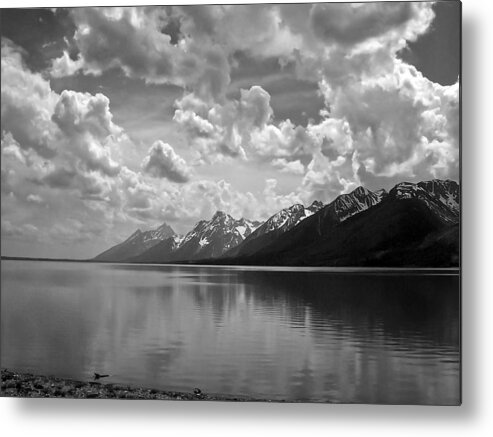 Teton Metal Print featuring the photograph Jackson Lake by Mark McKinney