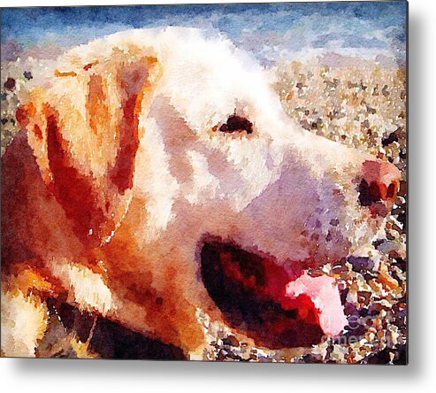 Labrador Metal Print featuring the painting Jake by Vix Edwards