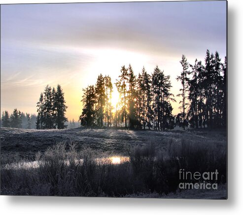 Landscape Metal Print featuring the photograph January Morning by Rory Siegel