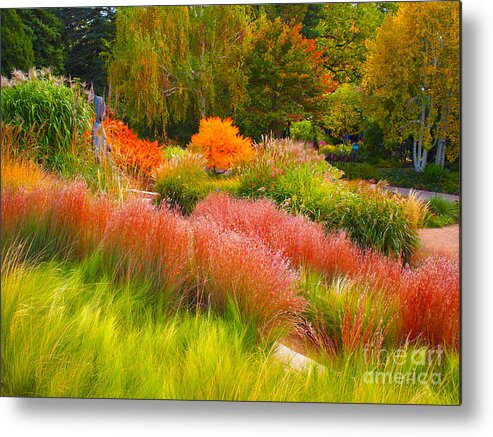 Gardens Metal Print featuring the photograph Just being Natural in a Garden by Joseph Mora