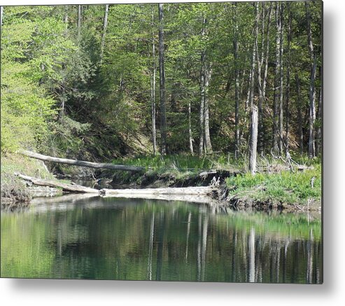 Green River Metal Print featuring the photograph Stillness by Catherine Gagne