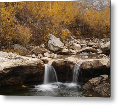 Elko Nevada Landscape Photography Metal Print featuring the photograph Lamoille Creek by Jenessa Rahn
