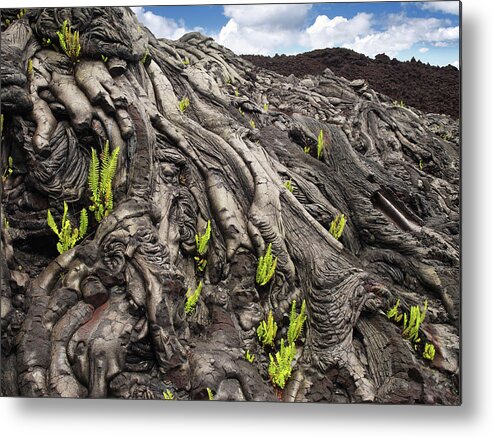 Tranquility Metal Print featuring the photograph Lava Formations by Ignacio Palacios