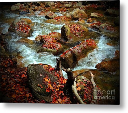 Marcia Lee Jones Metal Print featuring the photograph Leaves Decorating River Rocks by Marcia Lee Jones