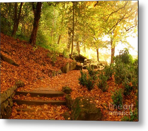Park Metal Print featuring the photograph Leaves on the Steps at Avenham Park by Joan-Violet Stretch