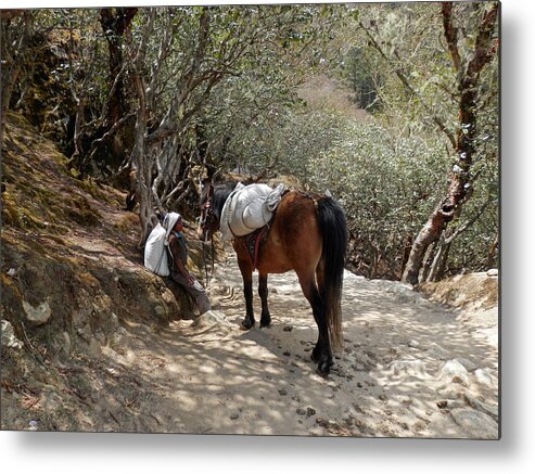 Porter Metal Print featuring the photograph Little Porter with Horse by Pema Hou