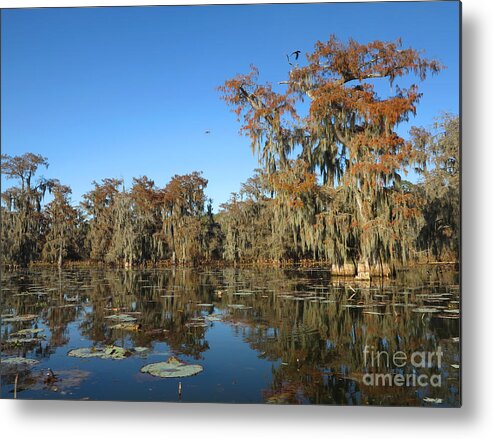 Louisiana Metal Print featuring the photograph Louisiana Swamp by Martin Konopacki