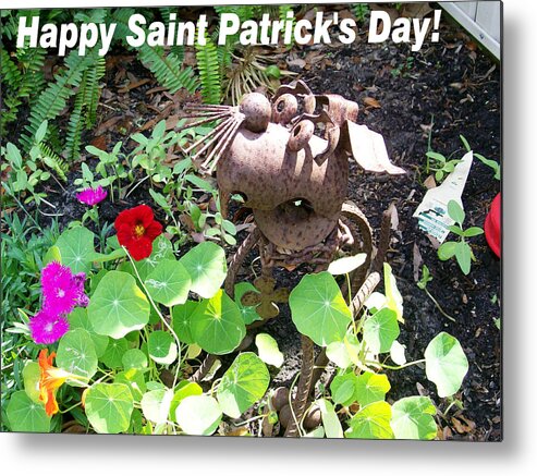 My Mother Gave Me This Irish Dog With A 4 Leaf Clover Around His Neck...so I Named Him lucky...nails For Whiskers How Cool Is That? Happy Saint Patty's Day! Metal Print featuring the photograph Lucky by Belinda Lee