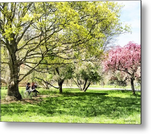Spring Metal Print featuring the photograph Lunch in the Park in Spring by Susan Savad