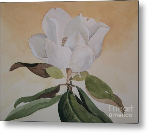 Magnolia Watercolor Painting Metal Print featuring the painting Magnolia Morning by Nancy Kane Chapman