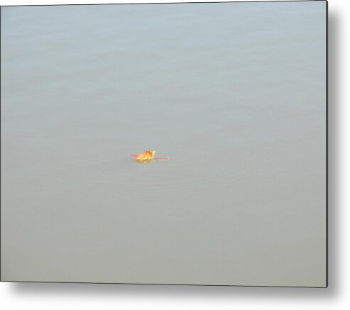 Maple Leaf Metal Print featuring the photograph Maple Leaf on the Water by Corinne Elizabeth Cowherd