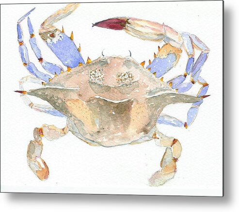 Crab Metal Print featuring the painting Maryland Crab by Anne Marie Brown